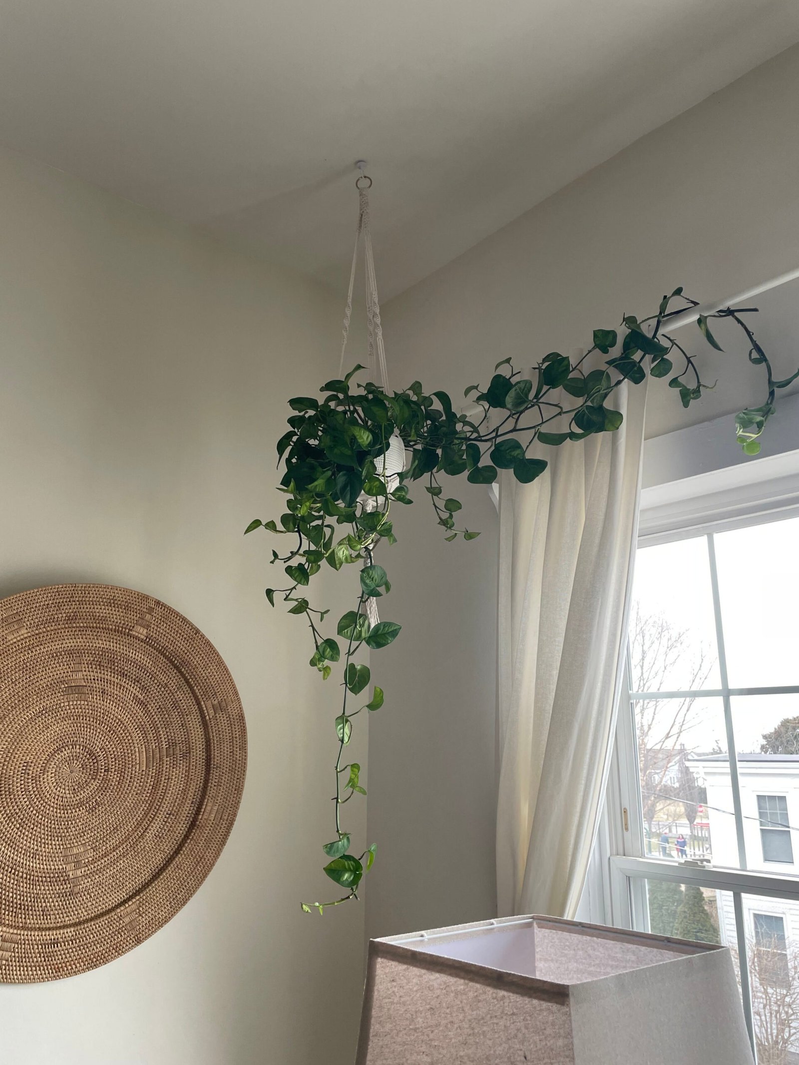 What should be approach to hanging my@ #Pothos ?