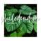 BASIC CARE TIPS: PHILODENDRONS – Lifestyle@SingSeeSoon