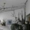 Green Up A Wall With Creeping Fig – Laidback Gardener