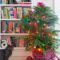 Norfolk Island Pine Small Space Christmas Tree  Apartment Therapy