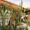 Ways To Create An Adorable Cactus Garden For Your Home